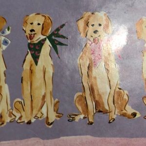 Meet your Posher, Zywia